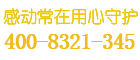 国安保险柜